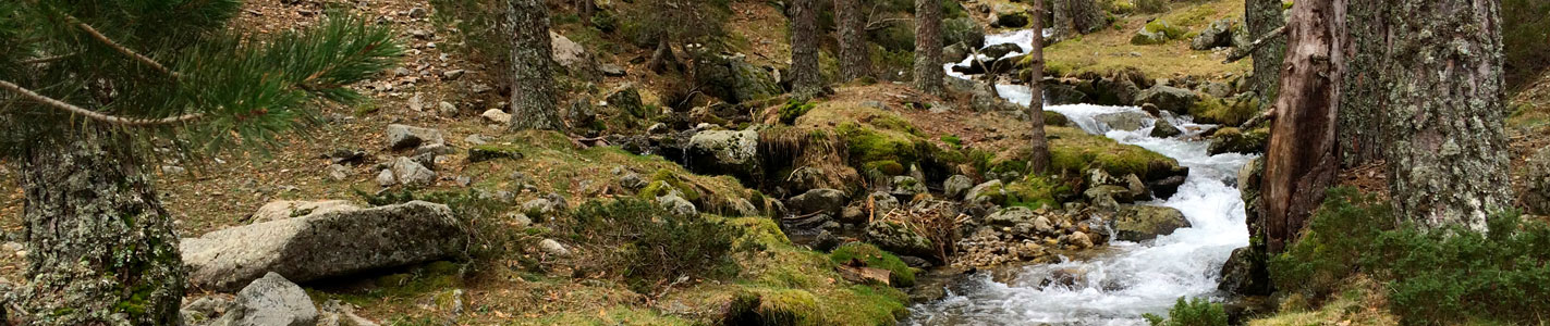 Sierra de Madrid